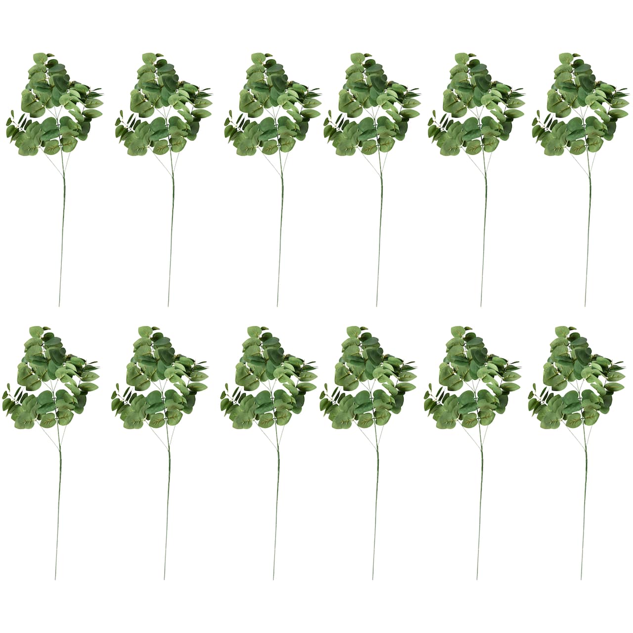 12 Pack: Green Eucalyptus Spray by Ashland®